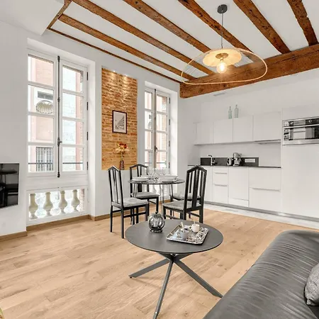 Apartment Mess D'yvonne - 45m2 En Plein Coeur De Toulouse